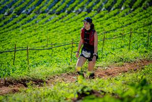 BIB: 
                            <button type="button" onclick="openModal(19162438)" class="btn btn-primary btn-sm float-right btn-popup" data-toggle="modal" data-target=".modal-high-quality">
                        <i class="fas fa-shopping-cart"></i> Add to Cart
                    </button>
                                            <button type="button" onclick="isThisMe(19162438, true)" class="btn btn-success btn-sm float-right btn-popup btn-isme hidden" data-toggle="tooltip" data-placement="bottom" title="นี่คือรูปของคุณใช่ไหม คลิกที่นี่เพื่อเอาเข้าอัลบั้ม">
                        <i class="fas fa-plus"></i> Add to album
                    </button>
                    <button type="button" onclick="isThisMe(19162438, false)" class="btn btn-warning btn-sm float-right btn-popup btn-isnotme hidden">
                        <i class="fas fa-ban"></i> Remove from album
                    </button>